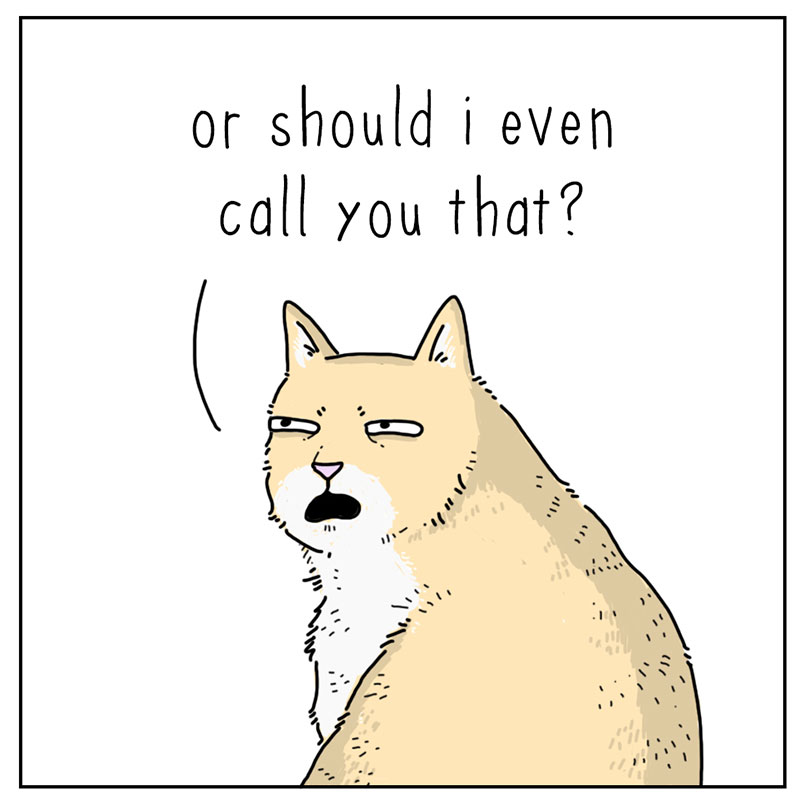 https://cdn.tinyview.com/they-can-talk/2022/09/15/lies/cat_lies_4.jpg