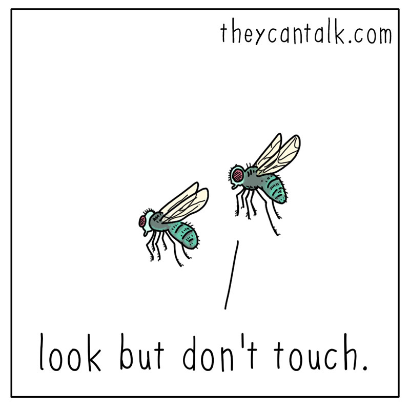 https://cdn.tinyview.com/they-can-talk/2022/09/22/art/spider_art_2.jpg