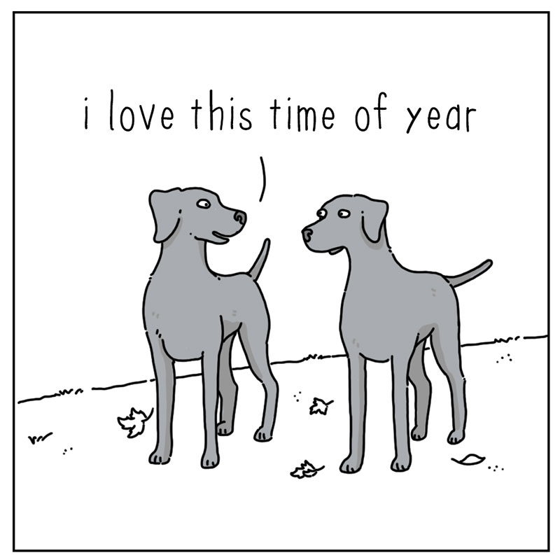 https://cdn.tinyview.com/they-can-talk/2022/09/26/fall/dog_fall_1.jpg