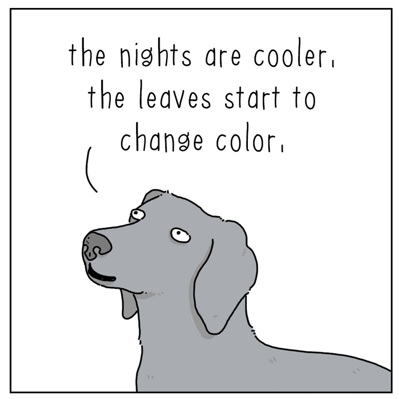 https://cdn.tinyview.com/they-can-talk/2022/09/26/fall/dog_fall_2.jpg