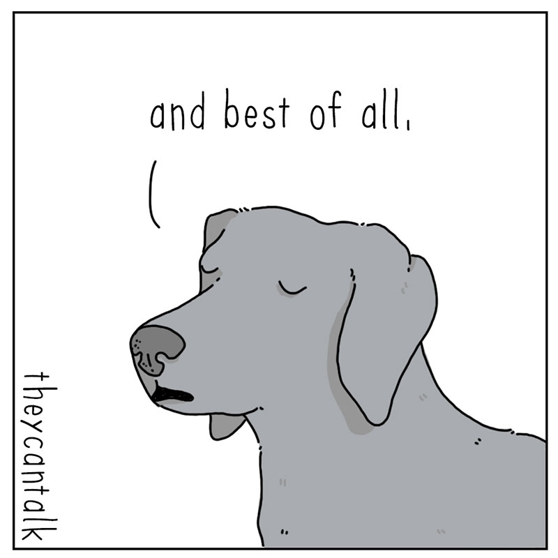 https://cdn.tinyview.com/they-can-talk/2022/09/26/fall/dog_fall_3.jpg