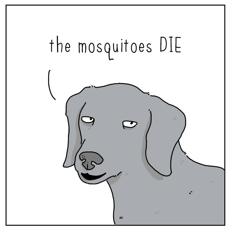 https://cdn.tinyview.com/they-can-talk/2022/09/26/fall/dog_fall_4.jpg