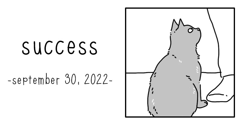 success