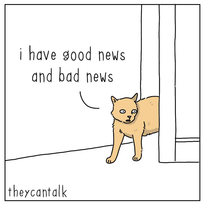 https://cdn.tinyview.com/they-can-talk/2022/10/02/news/cat_news_1.jpg