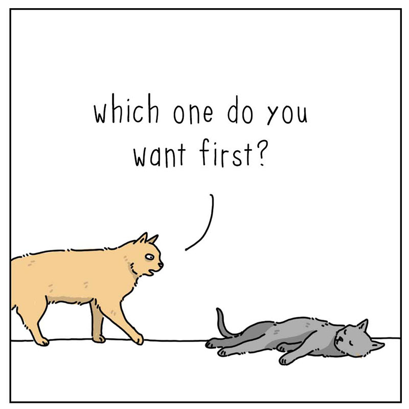 https://cdn.tinyview.com/they-can-talk/2022/10/02/news/cat_news_2.jpg