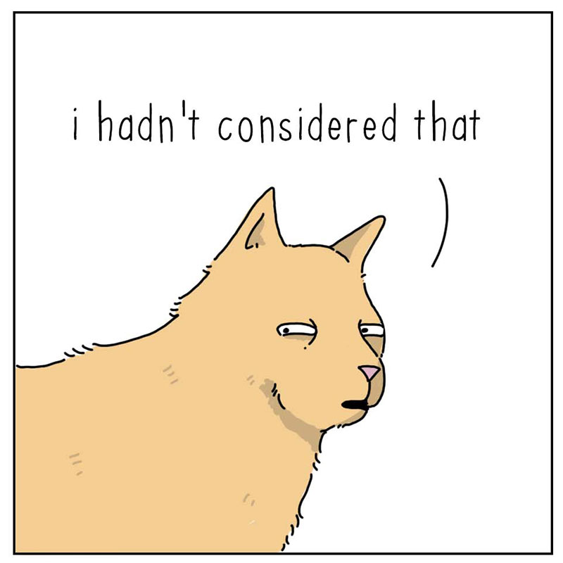 https://cdn.tinyview.com/they-can-talk/2022/10/02/news/cat_news_4.jpg