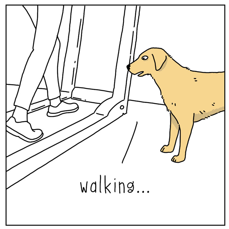 https://cdn.tinyview.com/they-can-talk/2022/10/07/exercise/dog_exercise_1.jpg
