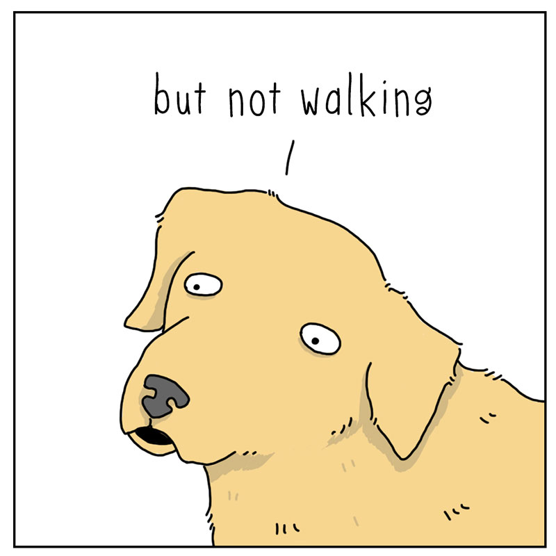 https://cdn.tinyview.com/they-can-talk/2022/10/07/exercise/dog_exercise_2.jpg