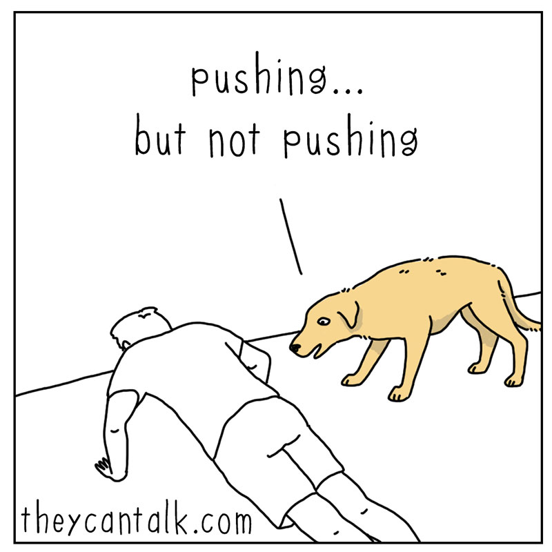 https://cdn.tinyview.com/they-can-talk/2022/10/07/exercise/dog_exercise_3.jpg