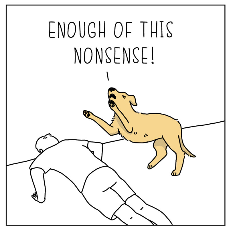 https://cdn.tinyview.com/they-can-talk/2022/10/07/exercise/dog_exercise_4.jpg