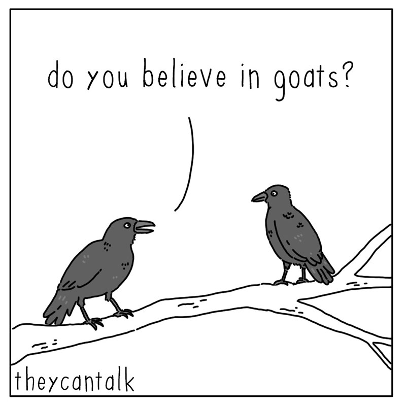 https://cdn.tinyview.com/they-can-talk/2022/10/10/goats/crow_goats_1.jpg