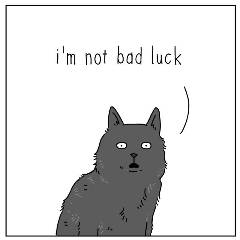 https://cdn.tinyview.com/they-can-talk/2022/10/14/bad-luck/cat_badluck_1.jpg