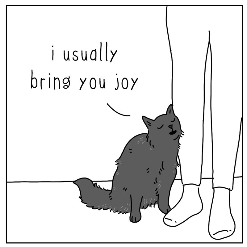 https://cdn.tinyview.com/they-can-talk/2022/10/14/bad-luck/cat_badluck_2.jpg