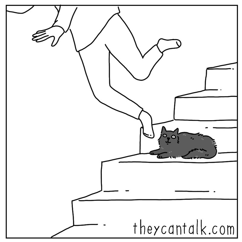 https://cdn.tinyview.com/they-can-talk/2022/10/14/bad-luck/cat_badluck_4.jpg