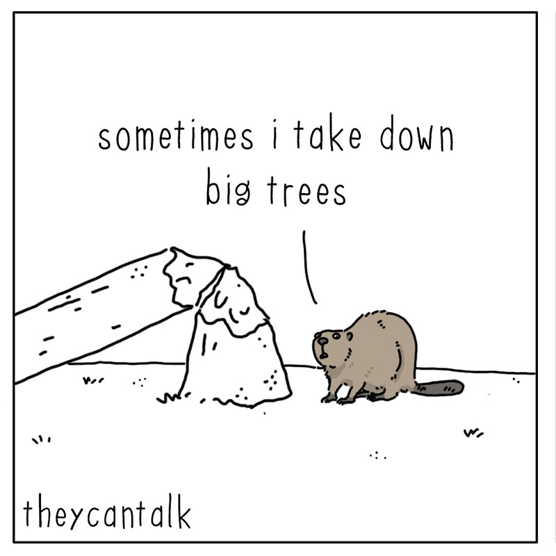 https://cdn.tinyview.com/they-can-talk/2022/10/17/credit/beaver_credit_1.jpg