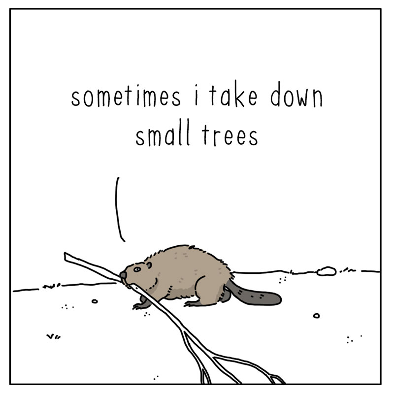 https://cdn.tinyview.com/they-can-talk/2022/10/17/credit/beaver_credit_2.jpg