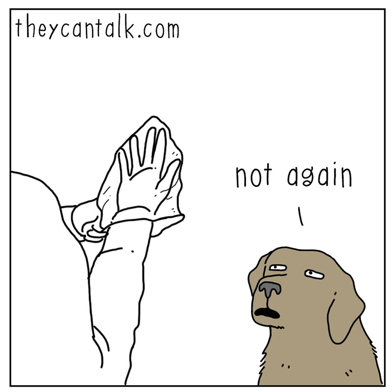 https://cdn.tinyview.com/they-can-talk/2022/10/21/stop/dog_stop_1.jpg