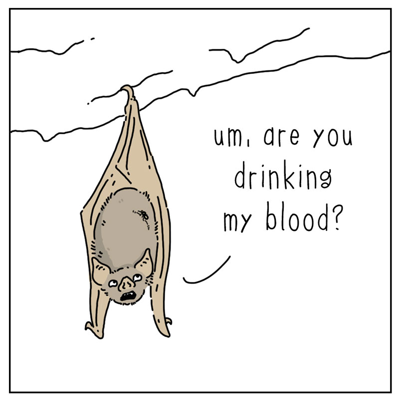 https://cdn.tinyview.com/they-can-talk/2022/10/24/blood/bat_blood_1.jpg