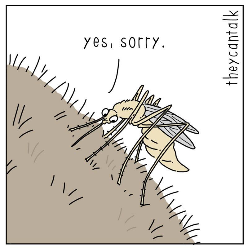https://cdn.tinyview.com/they-can-talk/2022/10/24/blood/bat_blood_2.jpg