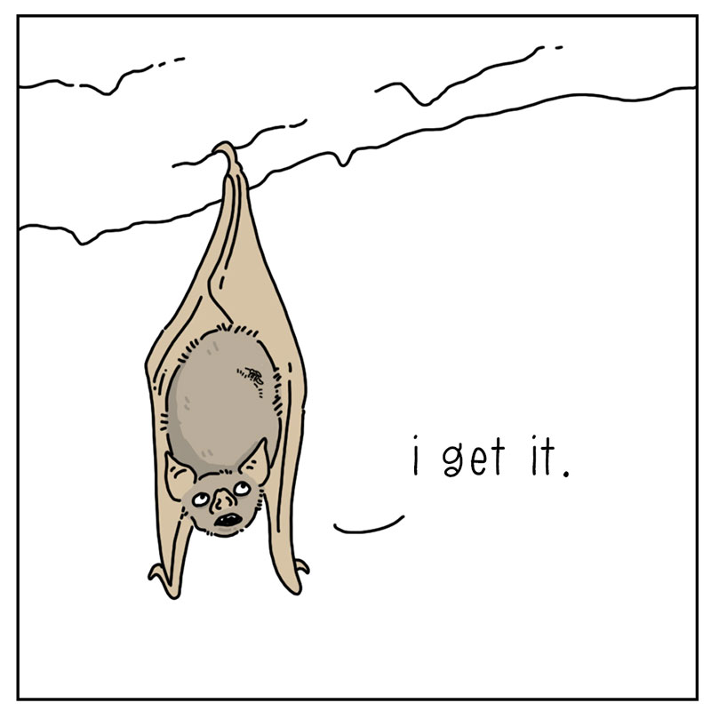 https://cdn.tinyview.com/they-can-talk/2022/10/24/blood/bat_blood_4.jpg