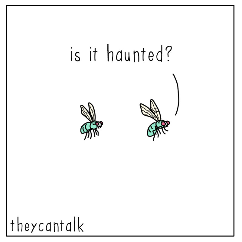 https://cdn.tinyview.com/they-can-talk/2022/10/31/haunted/fly_haunted_1.jpg