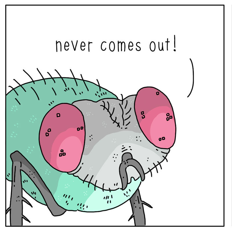 https://cdn.tinyview.com/they-can-talk/2022/10/31/haunted/fly_haunted_3.jpg