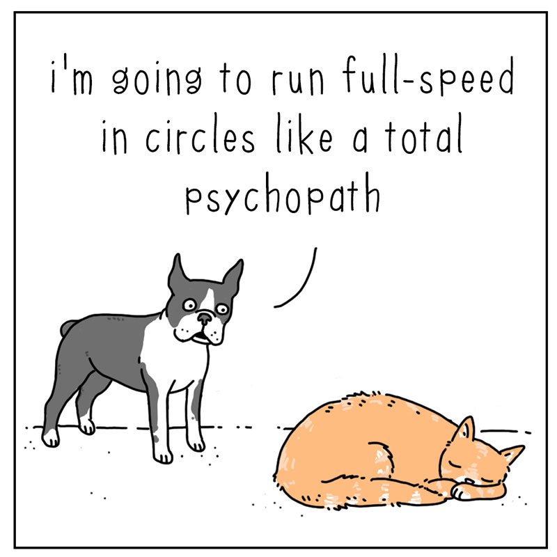 https://cdn.tinyview.com/they-can-talk/2022/11/03/join-me/cat_psychopath_1.jpg