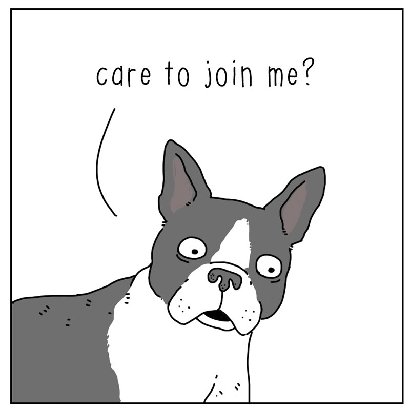 https://cdn.tinyview.com/they-can-talk/2022/11/03/join-me/cat_psychopath_2.jpg