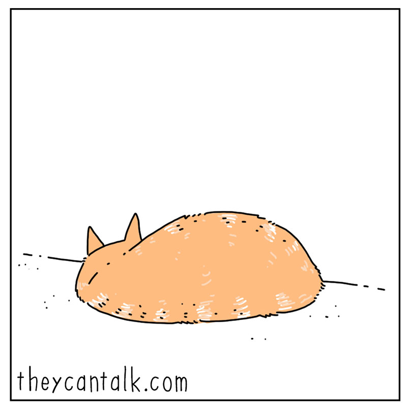 https://cdn.tinyview.com/they-can-talk/2022/11/03/join-me/cat_psychopath_3.jpg