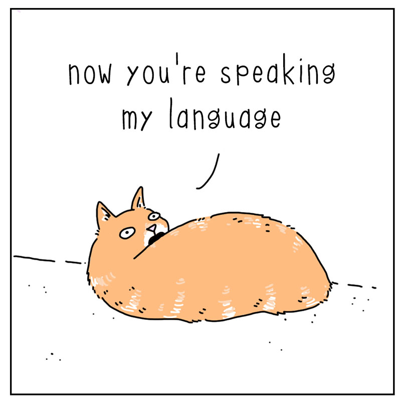 https://cdn.tinyview.com/they-can-talk/2022/11/03/join-me/cat_psychopath_4.jpg