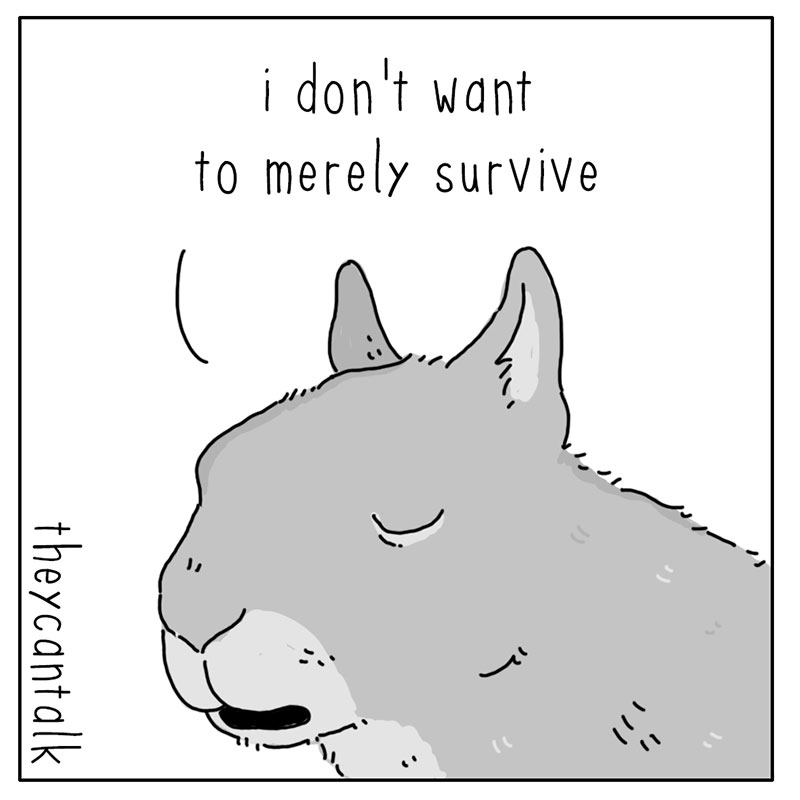 https://cdn.tinyview.com/they-can-talk/2022/11/07/survive/squirrel_survive_2.jpg