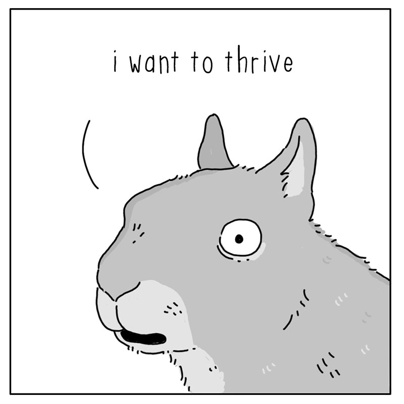 https://cdn.tinyview.com/they-can-talk/2022/11/07/survive/squirrel_survive_3.jpg