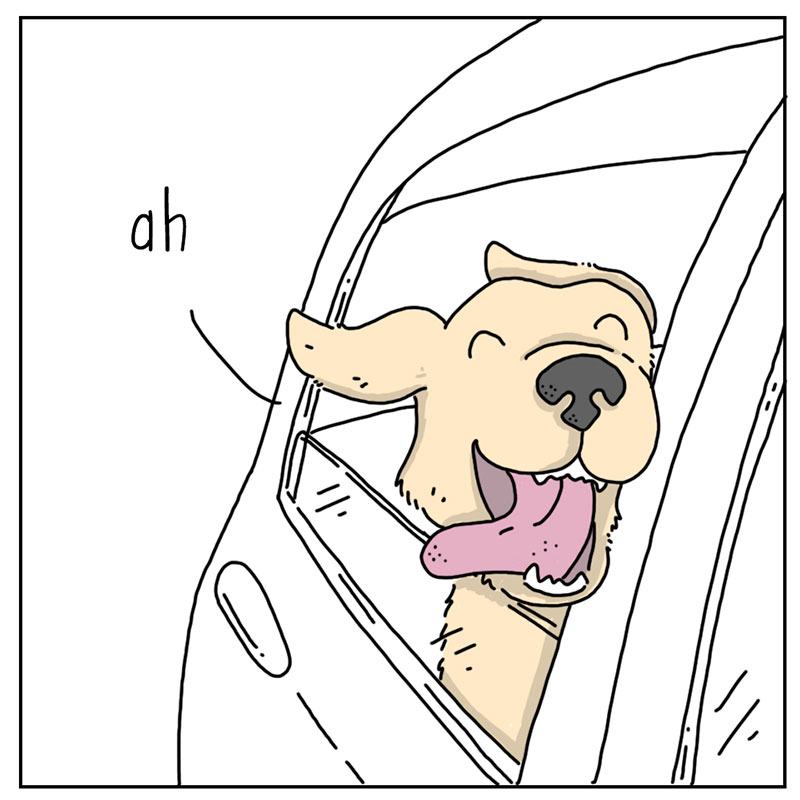 https://cdn.tinyview.com/they-can-talk/2022/11/18/life/dog_life_1.jpg
