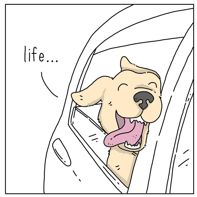 https://cdn.tinyview.com/they-can-talk/2022/11/18/life/dog_life_2.jpg