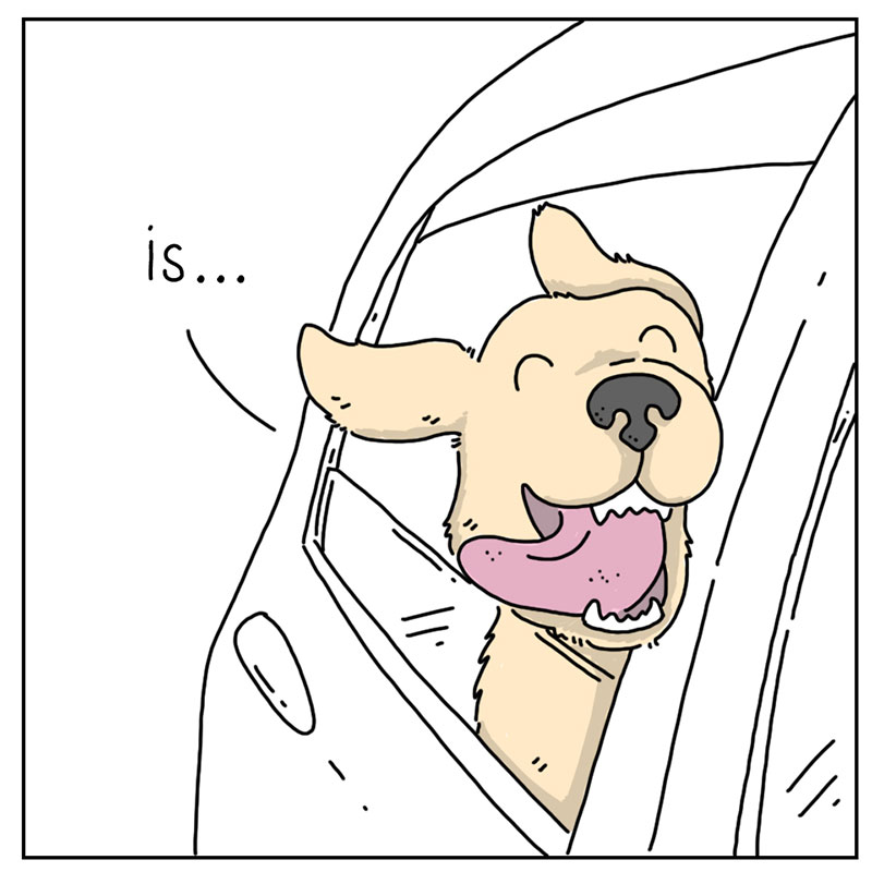 https://cdn.tinyview.com/they-can-talk/2022/11/18/life/dog_life_3.jpg