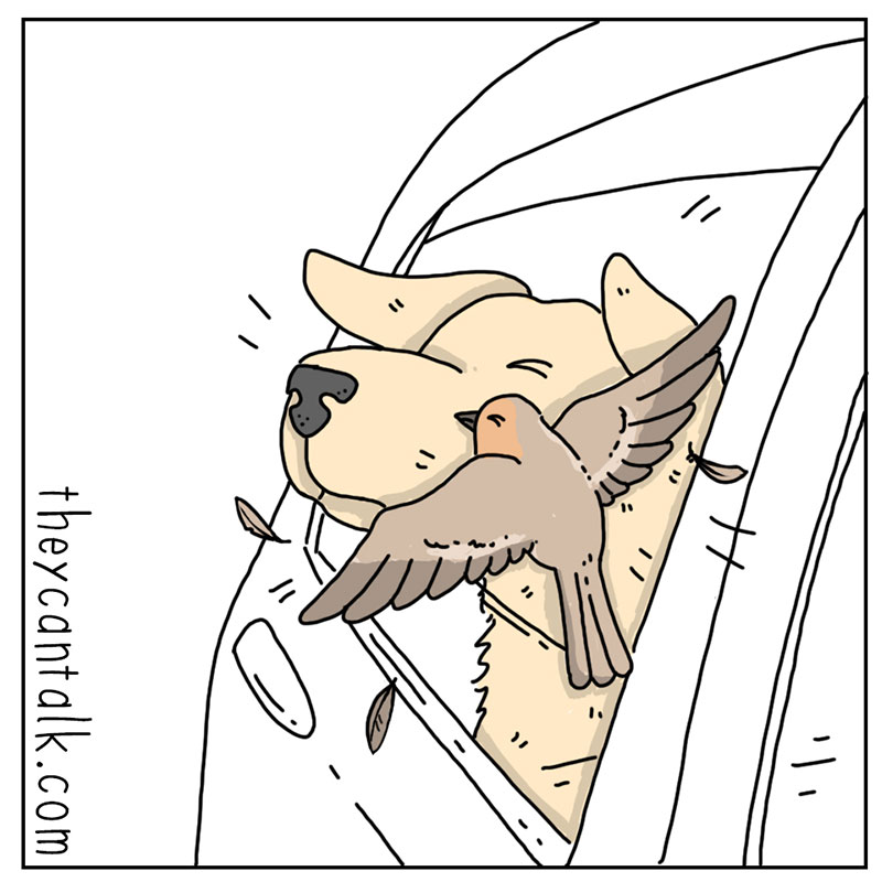 https://cdn.tinyview.com/they-can-talk/2022/11/18/life/dog_life_4.jpg