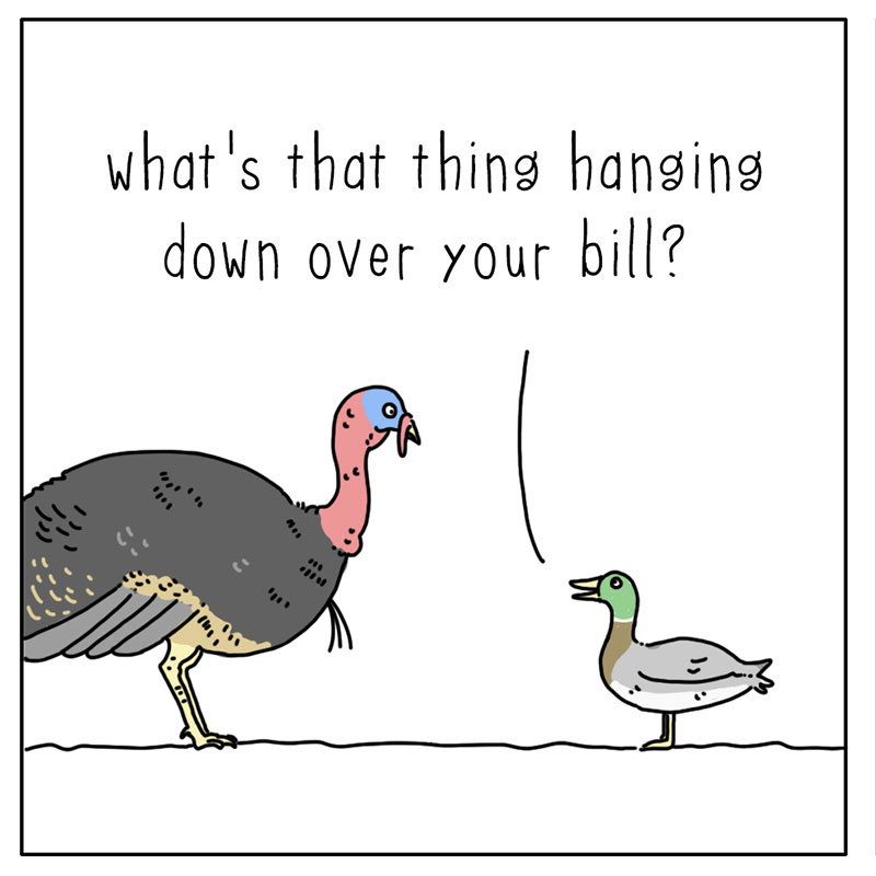 https://cdn.tinyview.com/they-can-talk/2022/11/21/purpose/turkey_purpose_1.jpg