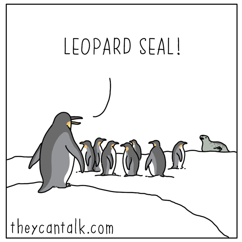 https://cdn.tinyview.com/they-can-talk/2022/11/25/alert/penguin_waddle1.jpg