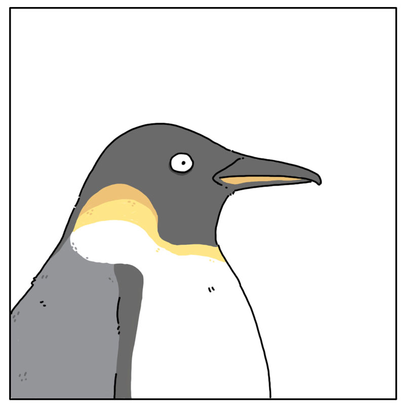 https://cdn.tinyview.com/they-can-talk/2022/11/25/alert/penguin_waddle3.jpg