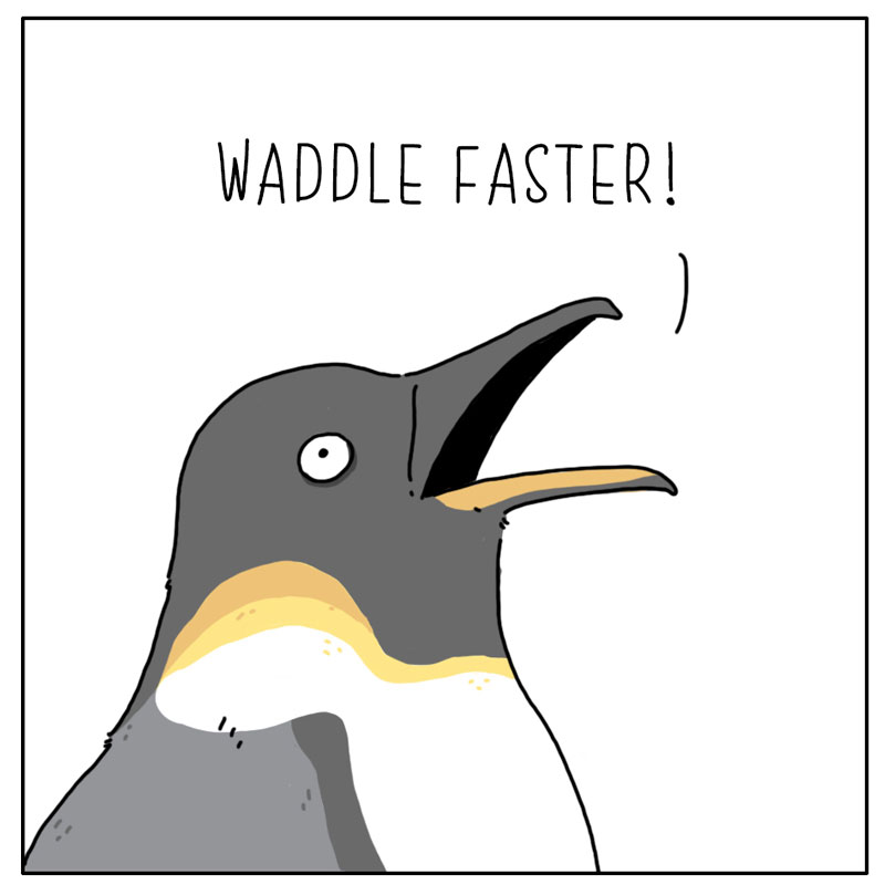 https://cdn.tinyview.com/they-can-talk/2022/11/25/alert/penguin_waddle4.jpg