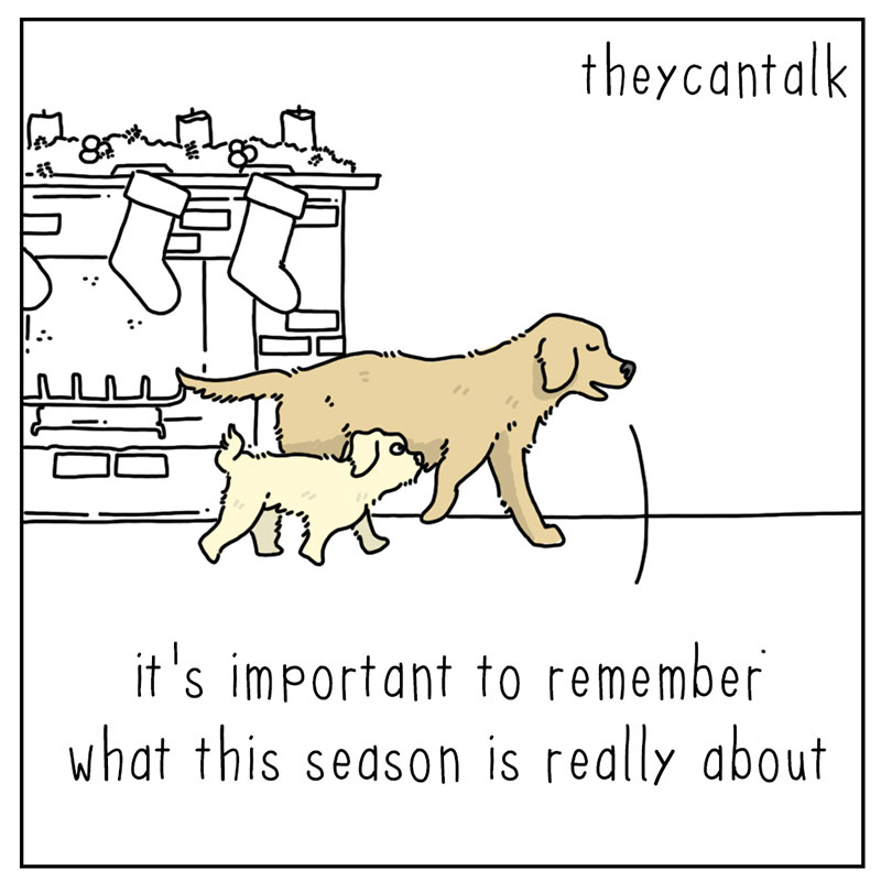 https://cdn.tinyview.com/they-can-talk/2022/11/28/season/dog_delivery.jpg
