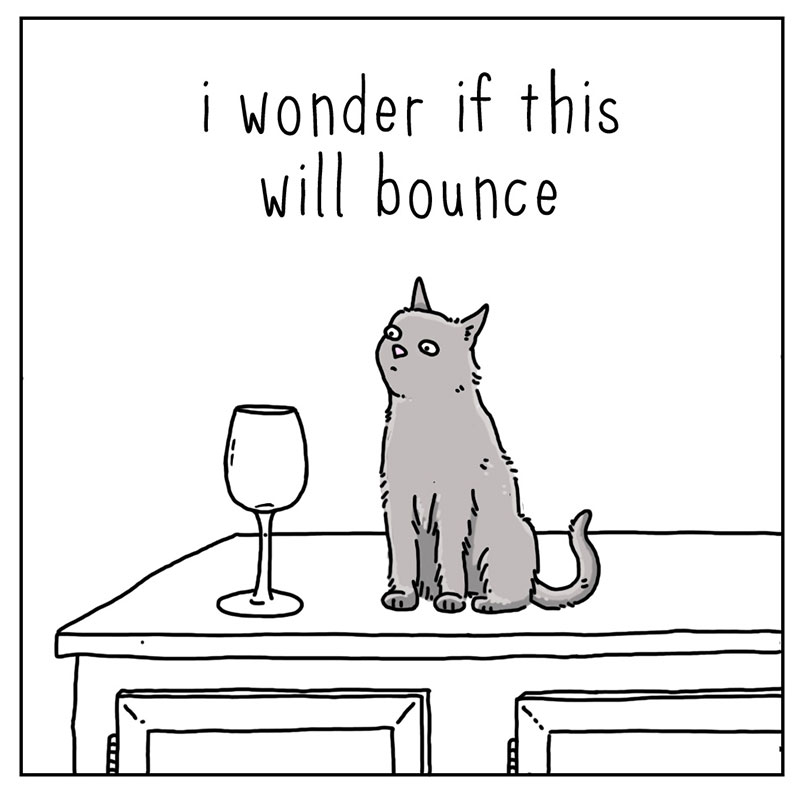 https://cdn.tinyview.com/they-can-talk/2022/12/02/bounce/cat_bounce1.jpg