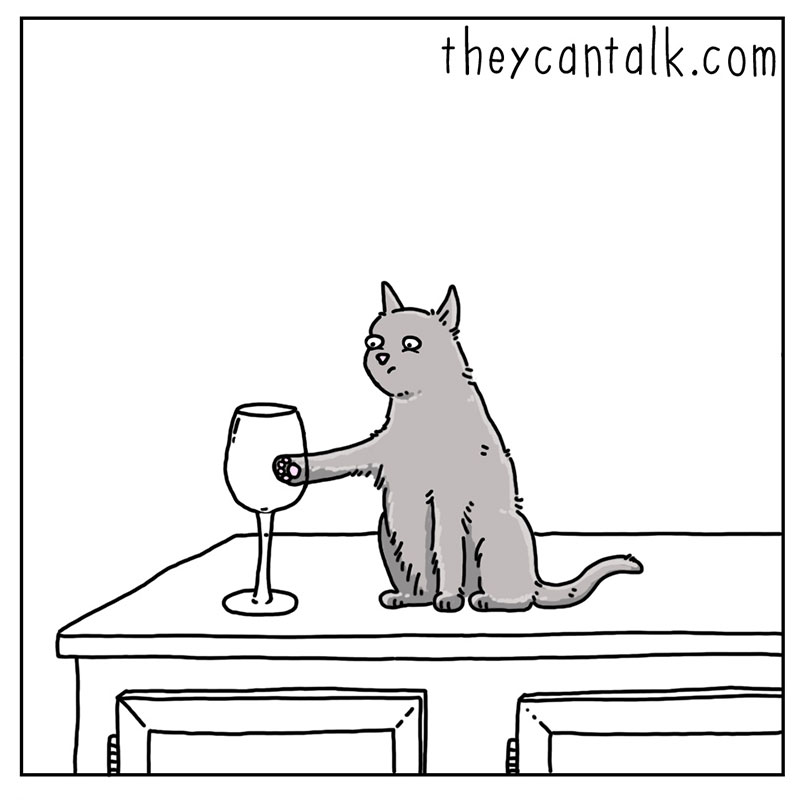 https://cdn.tinyview.com/they-can-talk/2022/12/02/bounce/cat_bounce2.jpg