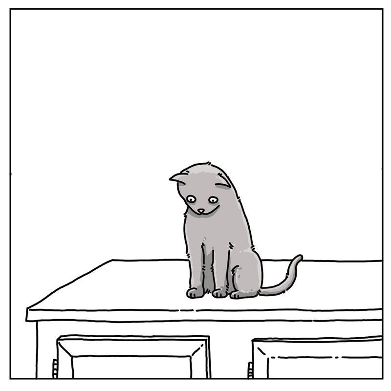 https://cdn.tinyview.com/they-can-talk/2022/12/02/bounce/cat_bounce3.jpg