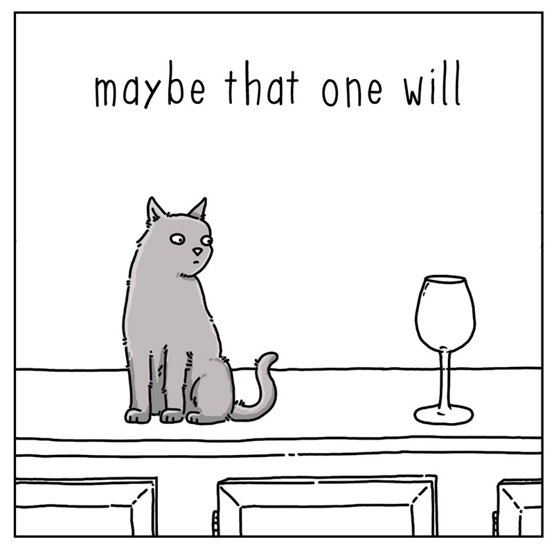 https://cdn.tinyview.com/they-can-talk/2022/12/02/bounce/cat_bounce4.jpg