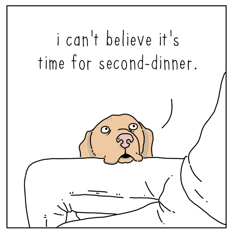 https://cdn.tinyview.com/they-can-talk/2022/12/09/dinner/dog_dinner_1.jpg
