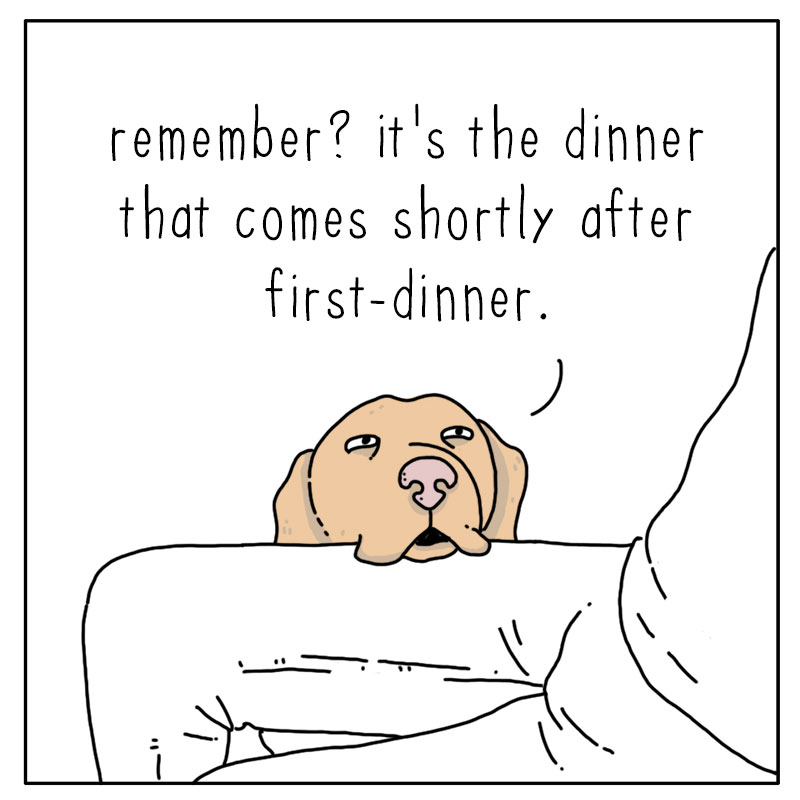 https://cdn.tinyview.com/they-can-talk/2022/12/09/dinner/dog_dinner_2.jpg