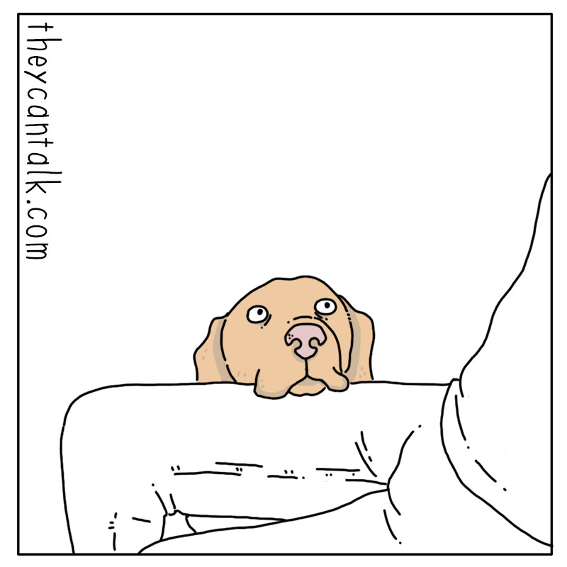 https://cdn.tinyview.com/they-can-talk/2022/12/09/dinner/dog_dinner_3.jpg