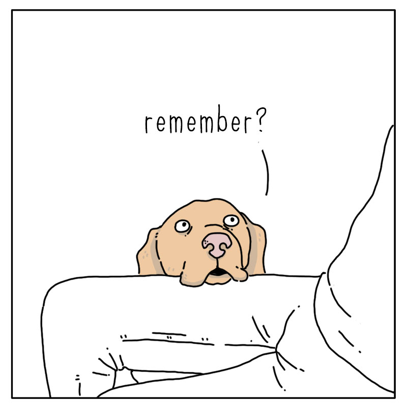 https://cdn.tinyview.com/they-can-talk/2022/12/09/dinner/dog_dinner_4.jpg