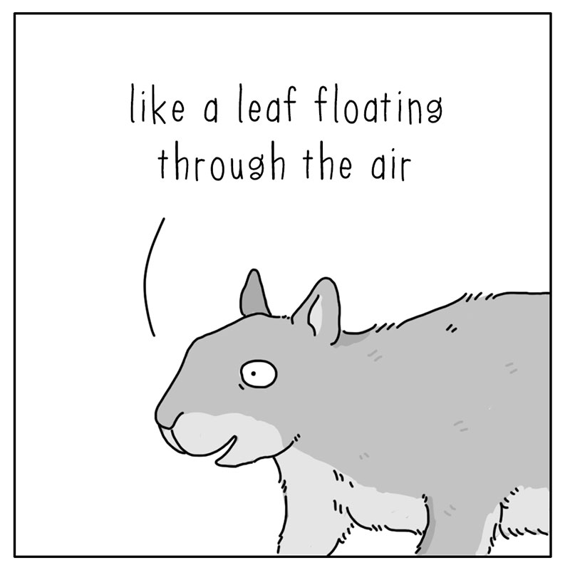 https://cdn.tinyview.com/they-can-talk/2022/12/12/light/squirrel_light_2.jpg